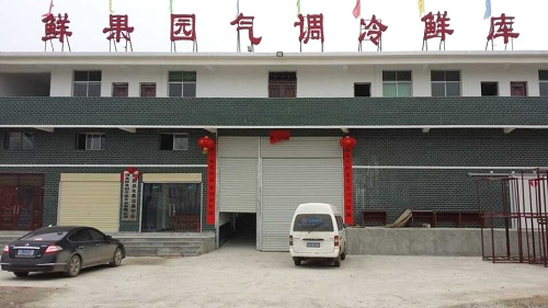 湖北鮮果園水果保鮮大型氣調冷庫設計安裝