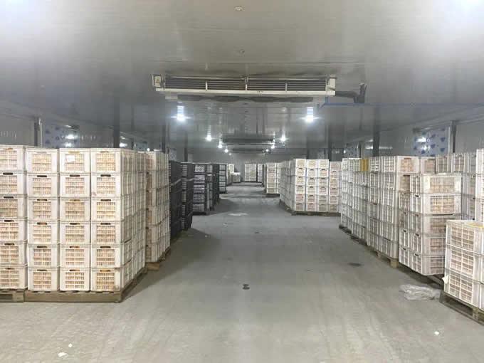 小型冷庫設計建造